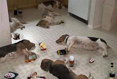 Why my house is always a mess when i get home.