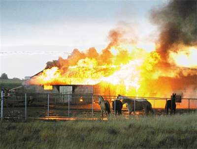 I was 6 and smoking one of your cigarette butts. When I heard you coming, I panicked and through it. It's my fault the barn caught fire. 