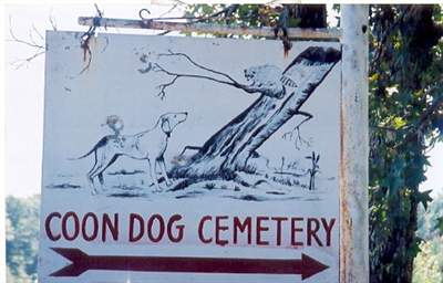 I visit the burial sites of my dogs far more often than any of those of my family.