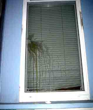 My parents grounded me. So, a couple days later my friends and I egged my own house. To this day my parents still think the neighbors kids did it..