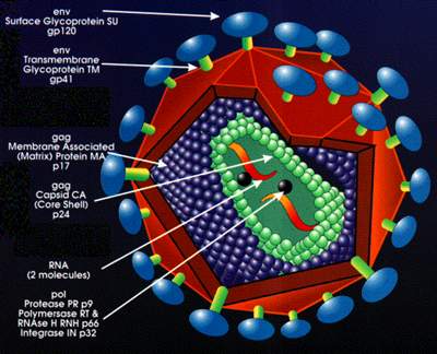 I&#39;m HIV positive. I feel like dying