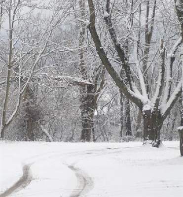 Last winter I paid for snow removal with oral sex, not because I was broke, It was just so much fun.