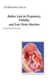 I want to start an abortion clinic, but not to kill babies to save them. I think ill call it the &quot;save a life clinic&quot;, and act like we kill them but we don't.