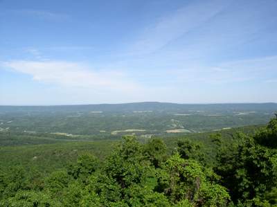 I told them I was going into town for the day... I drove to the overlook and stood at the edge ready to jump...