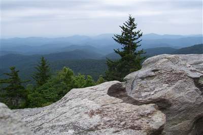 Sometimes I just wanna sit on this mountain, eat the wild blueberries, and wait for the world to implode.  If you know where it is, come join the party with me.