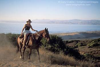  This is the life I long to have. Simple and free, enjoying the people and things that mean the most. A few acres, a little cabin, horses...spiritual bliss.:) 