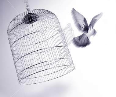 You flew away when I deserved to be alone in my cage. I wish everyday you would come back and let my fly away with you.