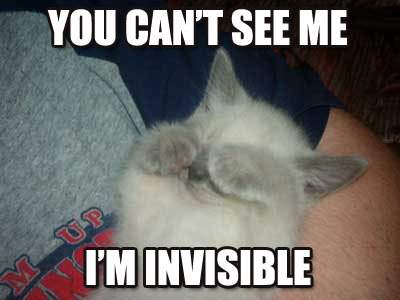 You make me feel invisible. Why cant you love me? I am your daughter! You love your other children! I think I want to die....Would you notice?