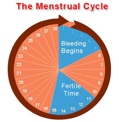 I like my menstrual pains. I always have, and I have never known why.