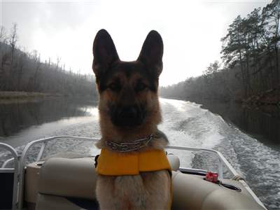 I lost my beautiful boy 2 days before xmas. He loved to run fast and when we took him up to a state park scenic overlook he ran straight off a 200&#39; cliff. 